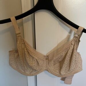Freya Beige Lace Bra- 34J
